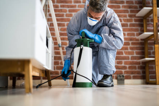 Eastern Pine Pest Control Fast Response, Lasting Results